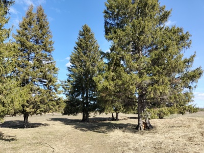 с. Помары, Волжский район, ул. Новая