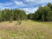 д. Васюткино, с.п. Большие Параты, Волжский район