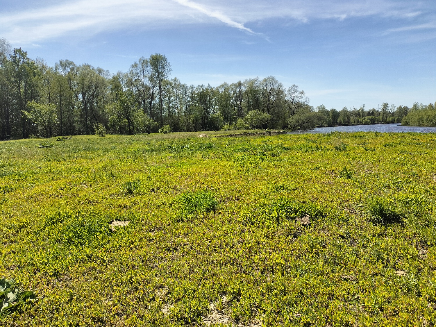 д. Березники, Волжский район