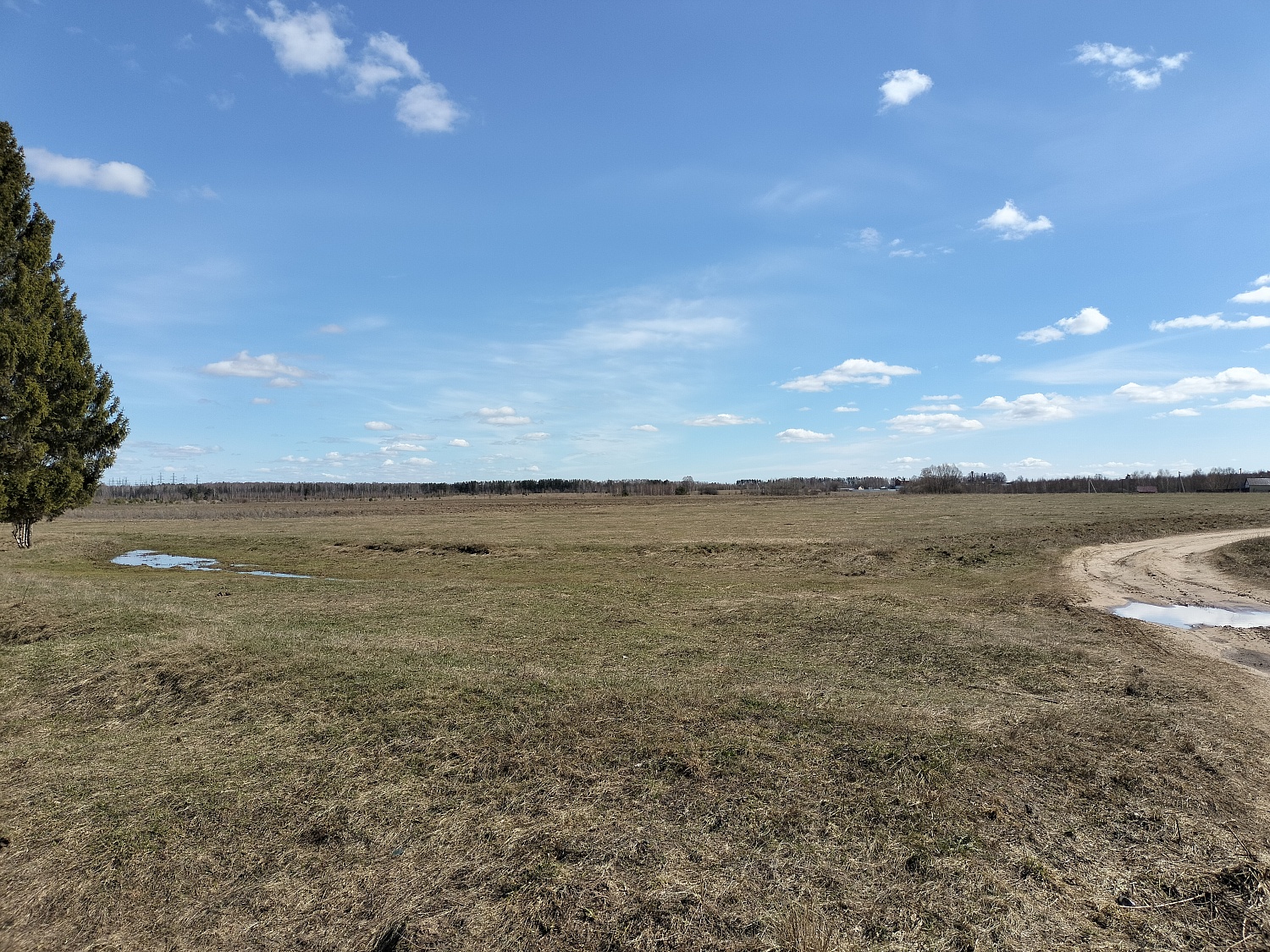 c. Помары,  ул. Новая