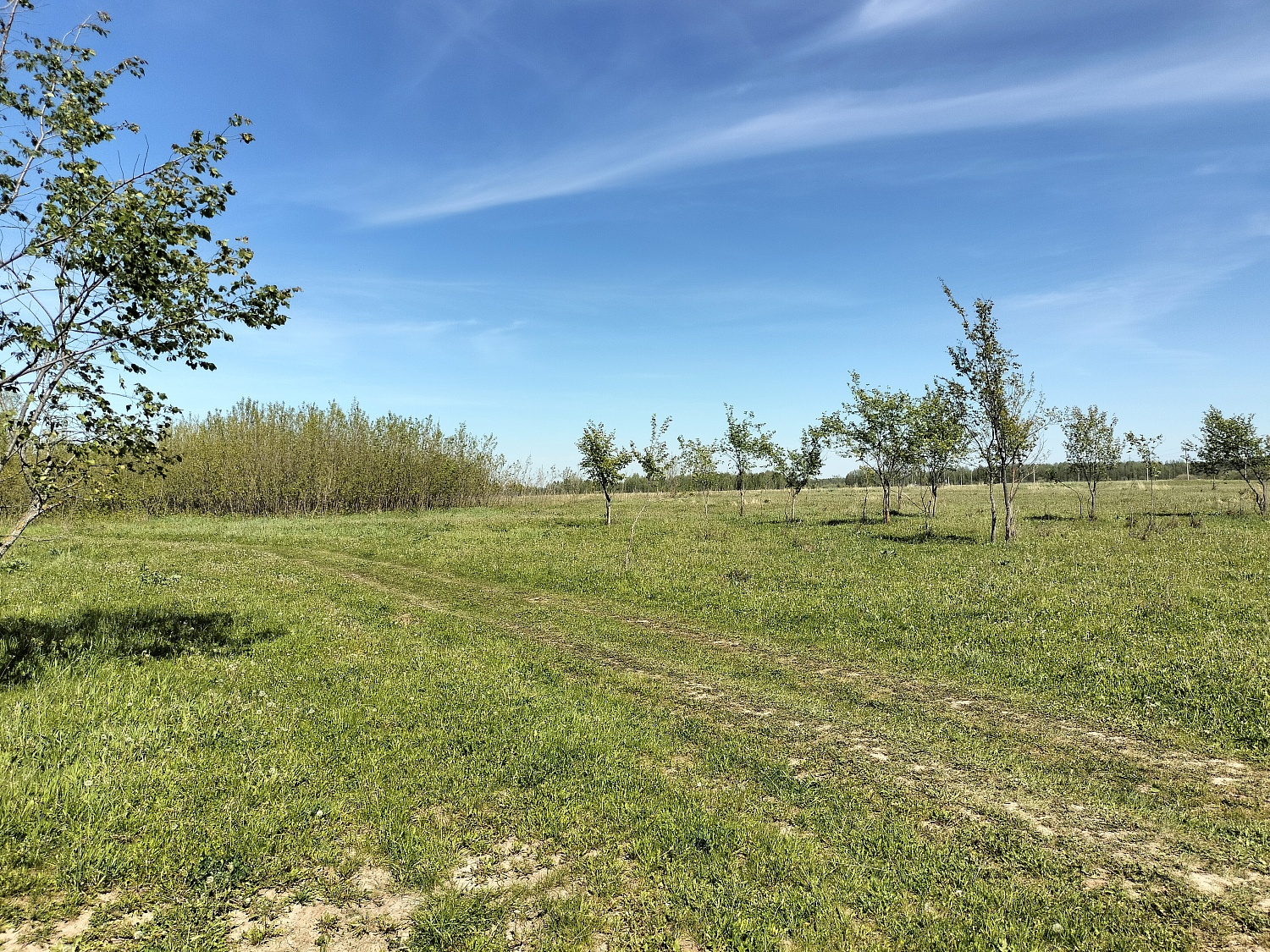 д. Березники, Волжский район