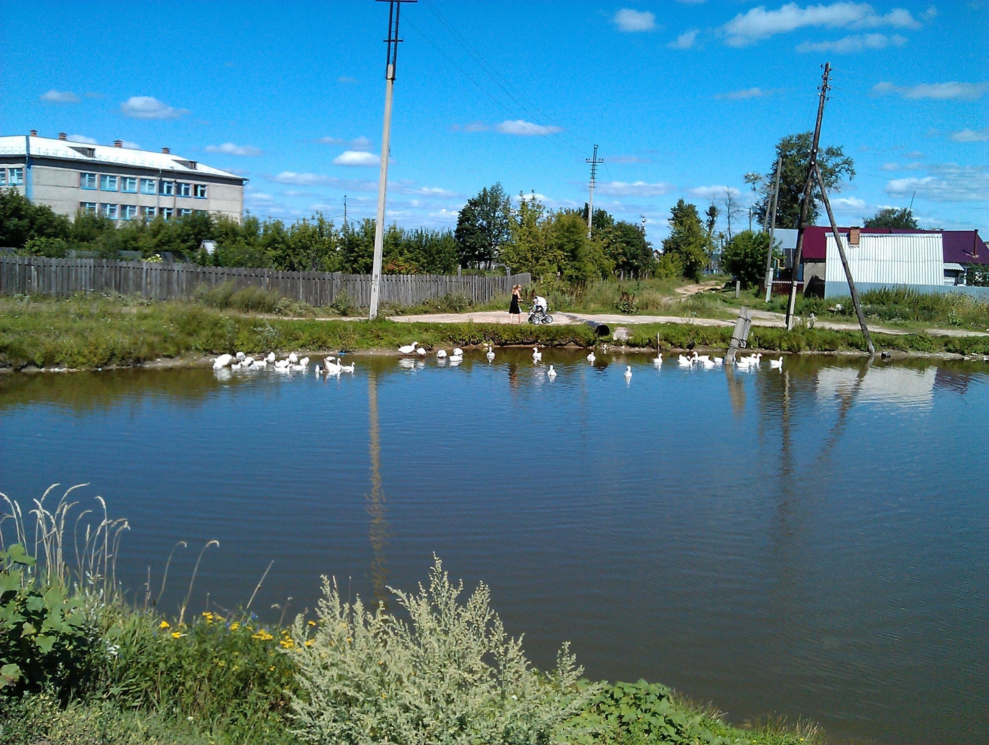 с.п. Помары,  ул. Российская