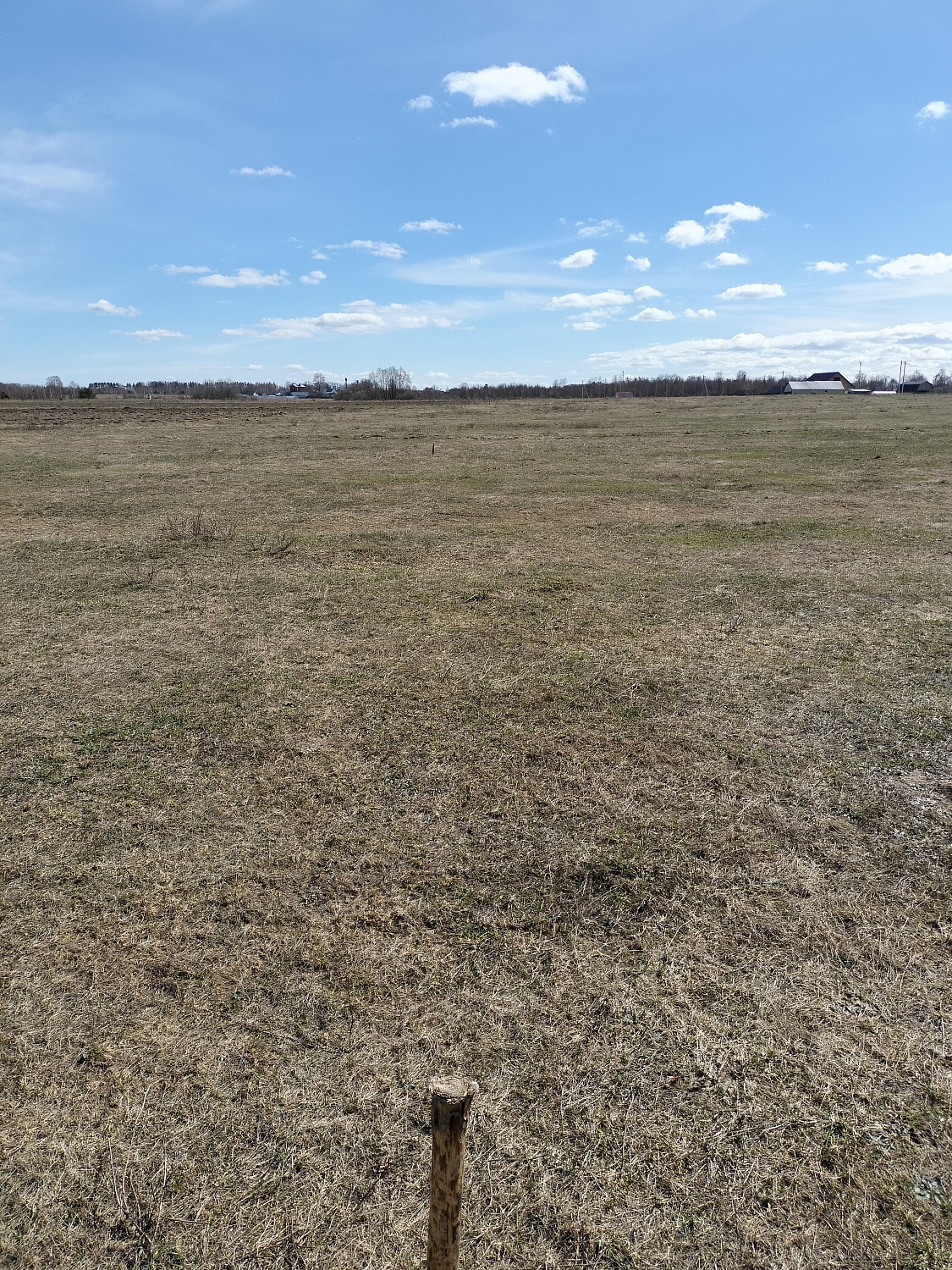 c. Помары,  ул. Новая