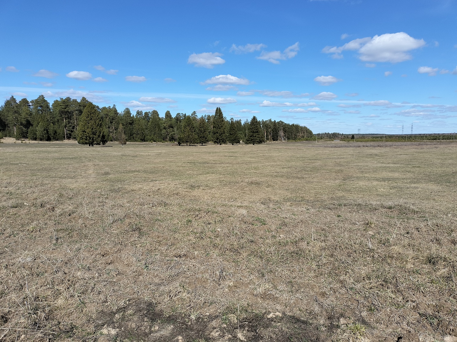 с. Помары, ул. Новая