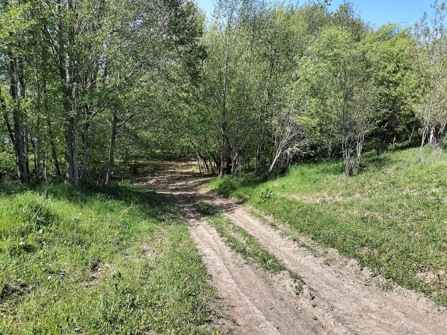 д. Березники, Волжский район