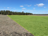 с. Помары, ул. Новая