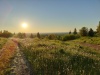 с.п. Сотнур, д. Шарибоксад