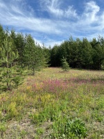 д. Васюткино, с.п. Большие Параты, Волжский район