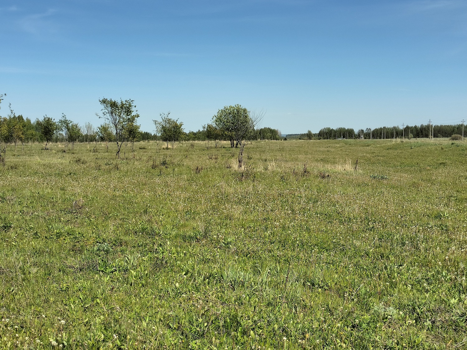 д. Березники, Волжский район