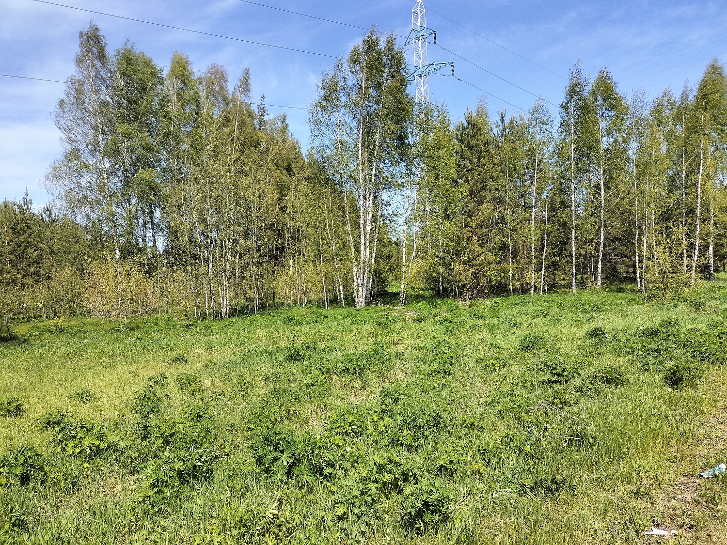 с. Мамасево, Волжский район