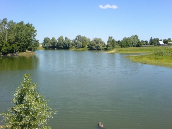 с.п. Помары,  ул. Российская