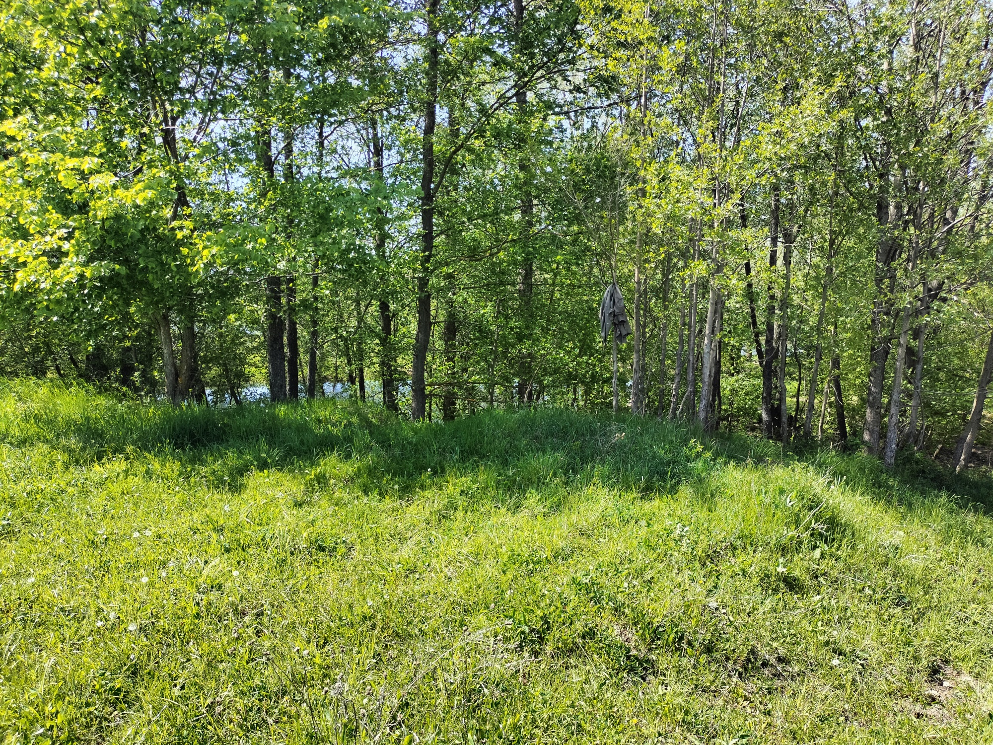 д. Березники, Волжский район