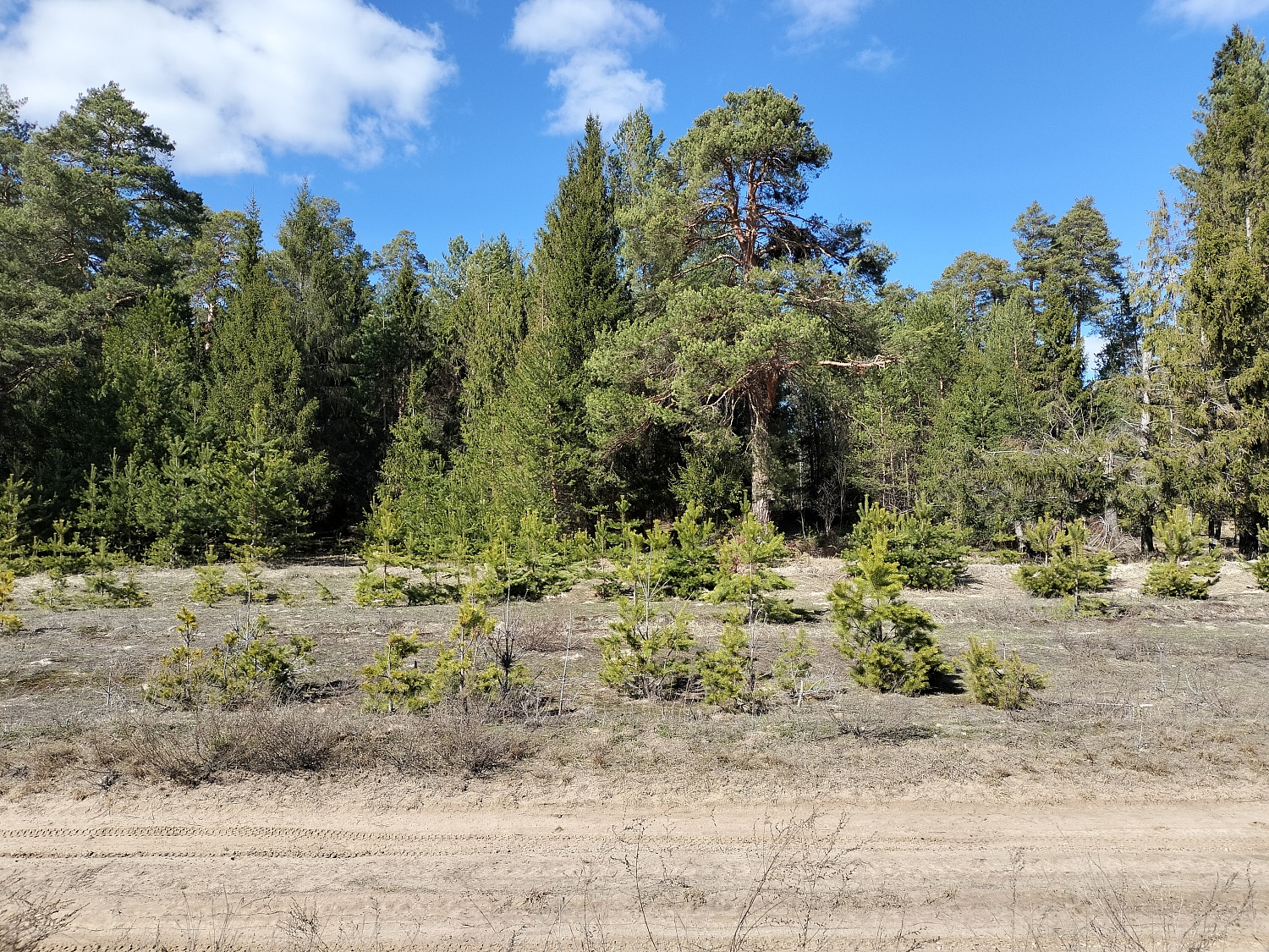 с. Помары, Волжский район, ул. Новая