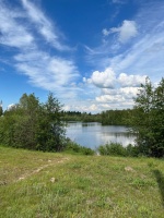 д. Васюткино, с.п. Большие Параты, Волжский район