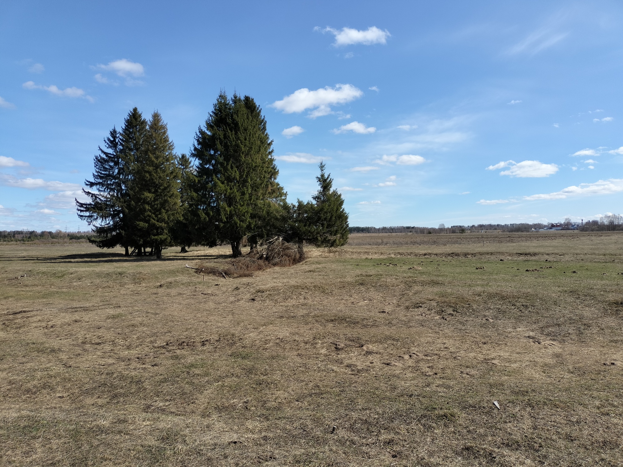 c. Помары,  ул. Новая