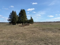 c. Помары,  ул. Новая